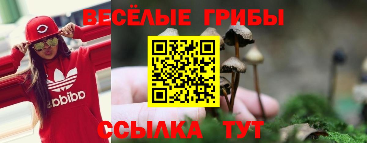 Псилоцибиновые грибы GOLDEN TEACHER Фурманов
