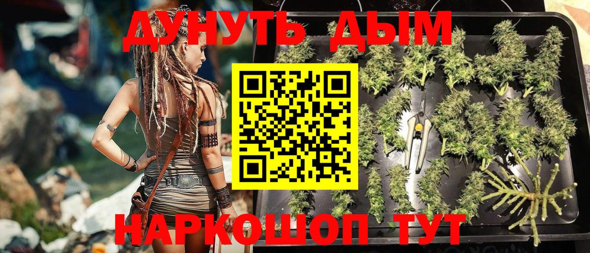 Бошки Шишки LSD WEED  Конопля конопля  Вход с VPN  Каннабис THC 21%  Фурманов  Бошки Шишки OG Kush 